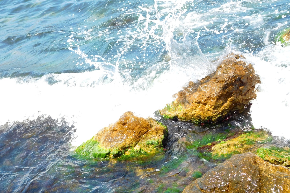 Фото автора.Чёрное море.