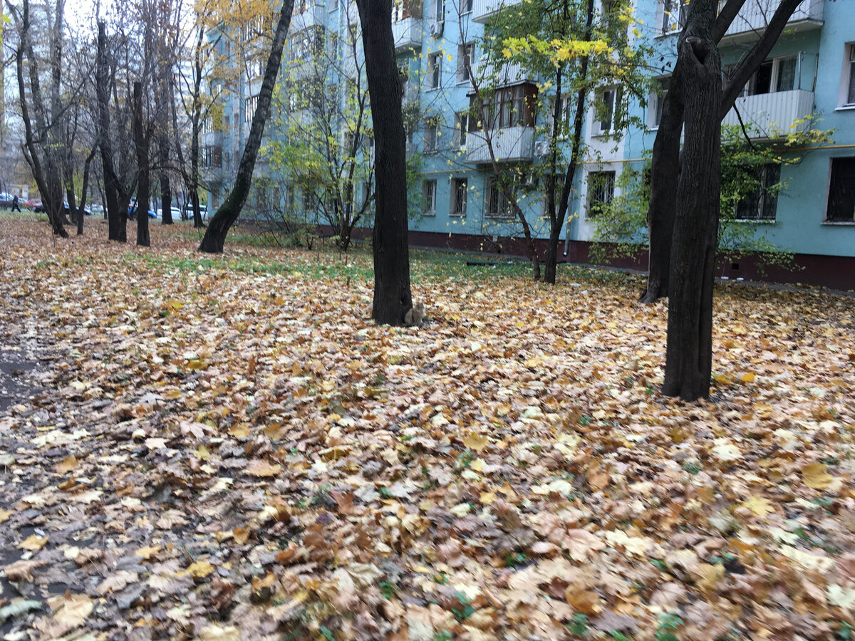 Фото снято автором данного поста