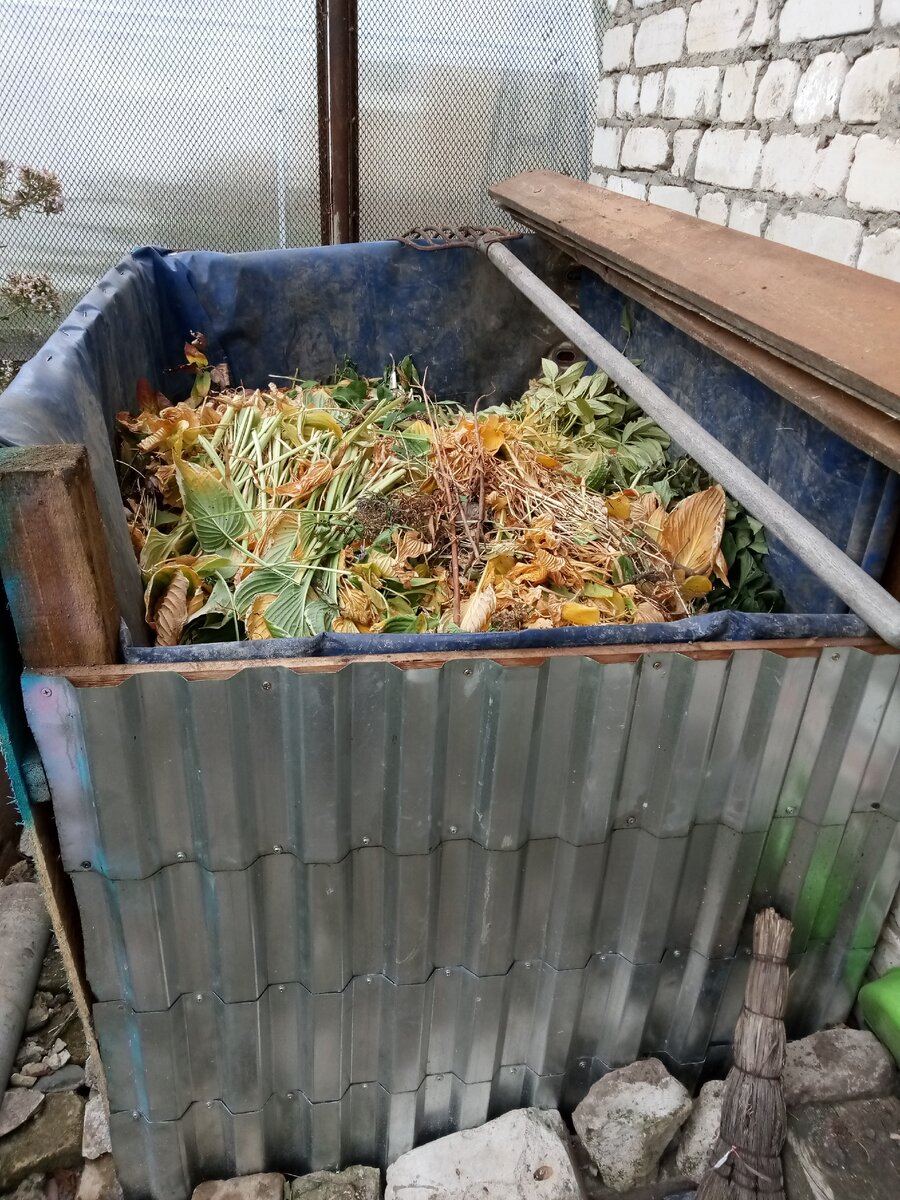 А эта только еще заполняется.