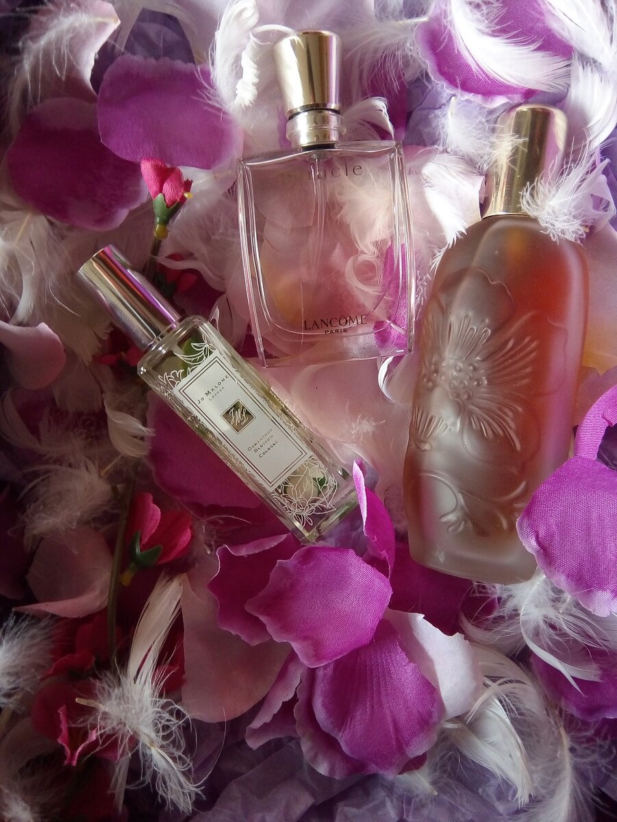 Просто парфюмы - из тех, что пользуюсь постоянно. Фото автора