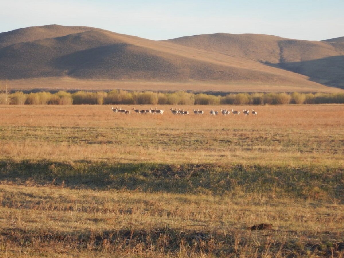 Семеновский заказник