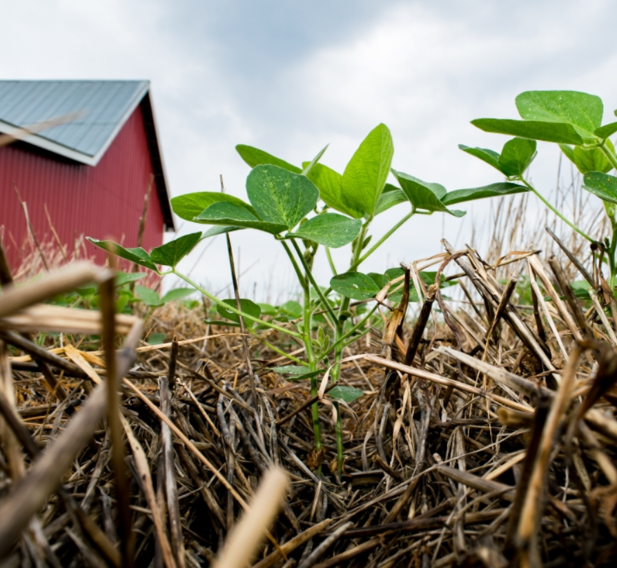 Фото из открытых источников интернета