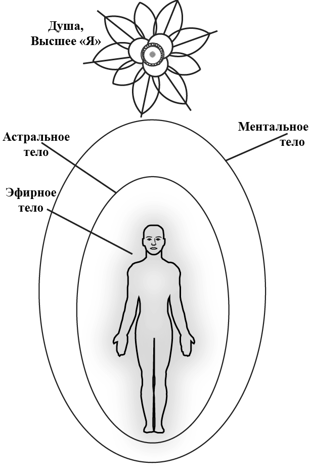 Людмила Голубовская
