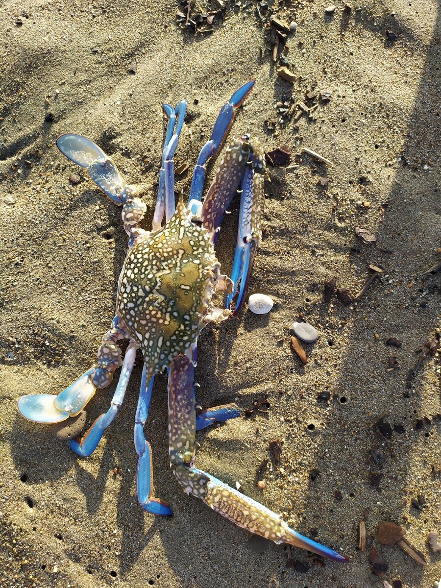 Фото из личного архива