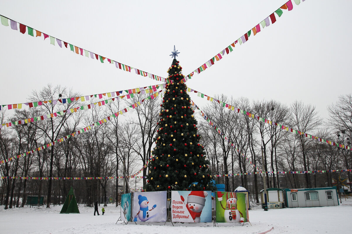 Яндекс картинки eaomedia.ru