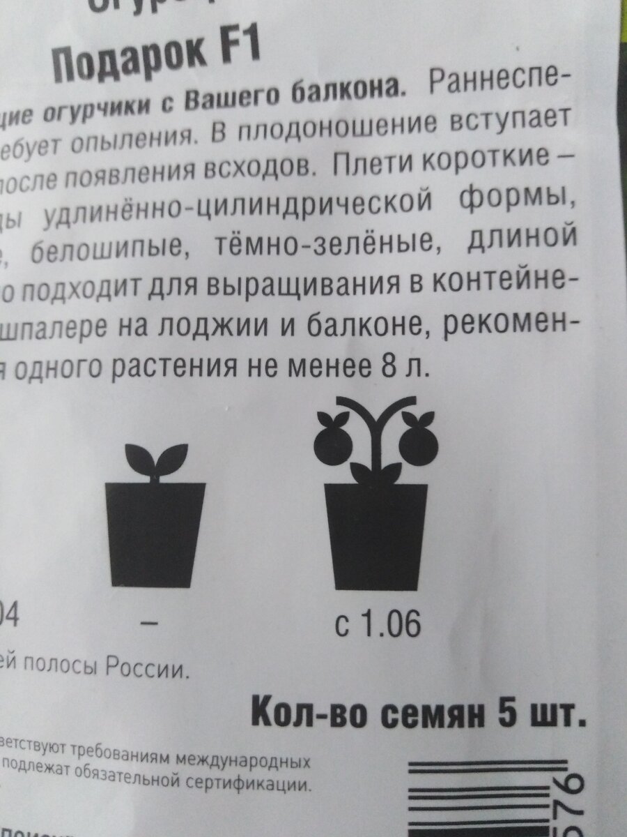 Распаковываю пакетики с семенами огурцов, выбранные мною для выращивания зимой на подоконнике