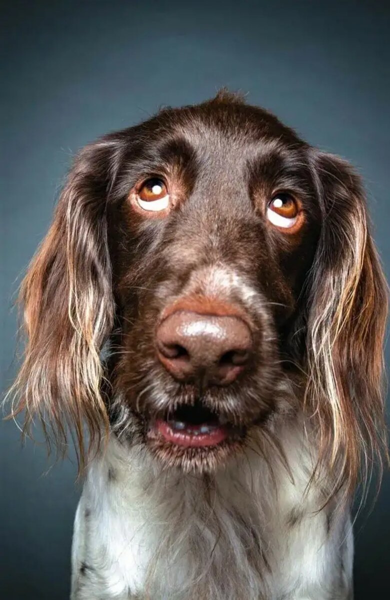 Фото из интернета 