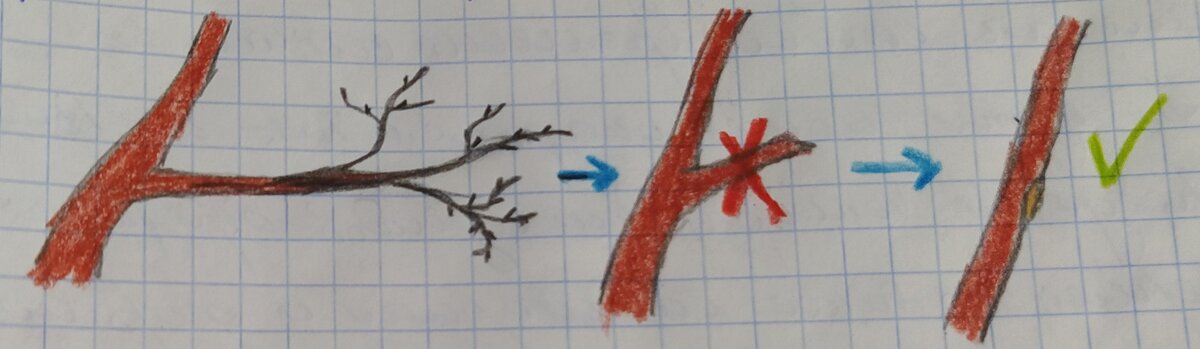 Обрезаем под кольцо. 