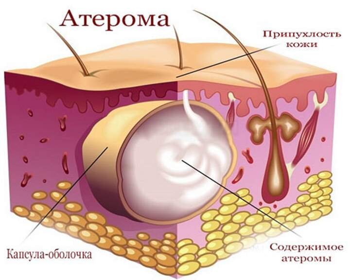 Фото из открытых источников