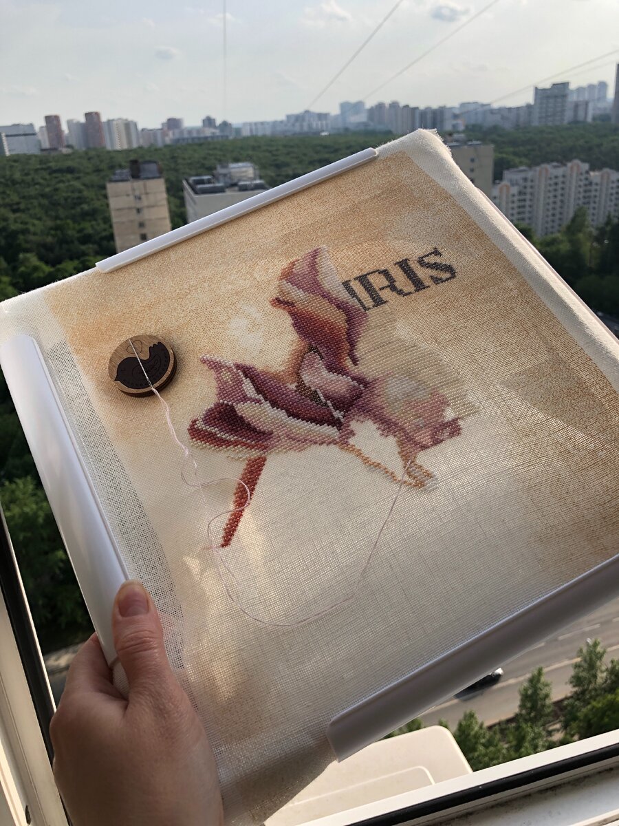 Фото автора статьи. Lanarte Ирис