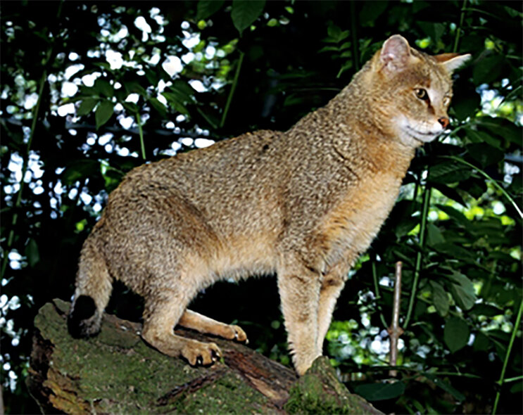 Dreamstime, Slowmotiongli 