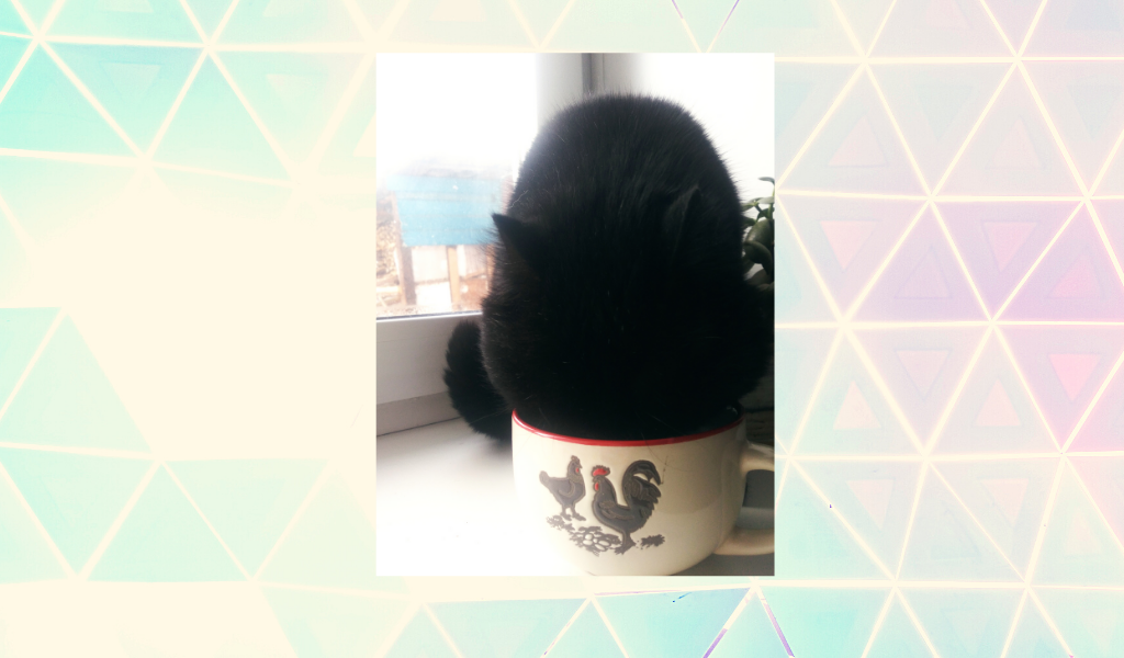 КТО пил из моей чашки?