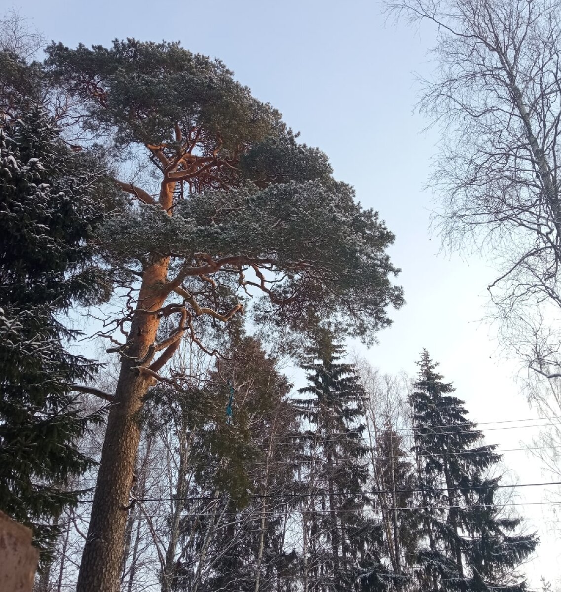 хойники достопримечательности