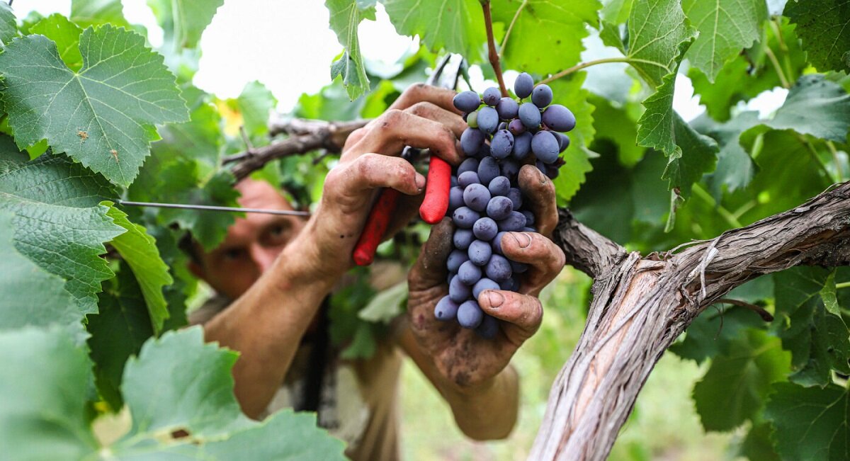 Христос - жизнь наша