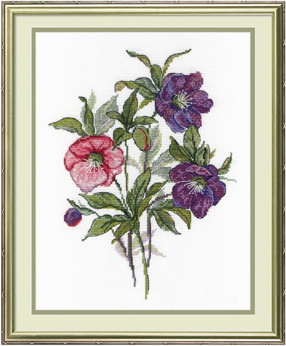 НВ-545 "Морозник"