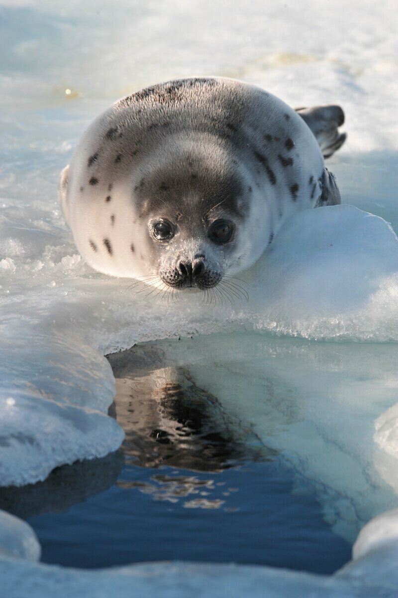 Фото взято в качестве иллюстрации