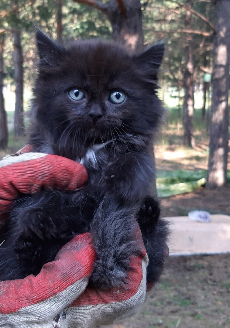 Один из трёх. 