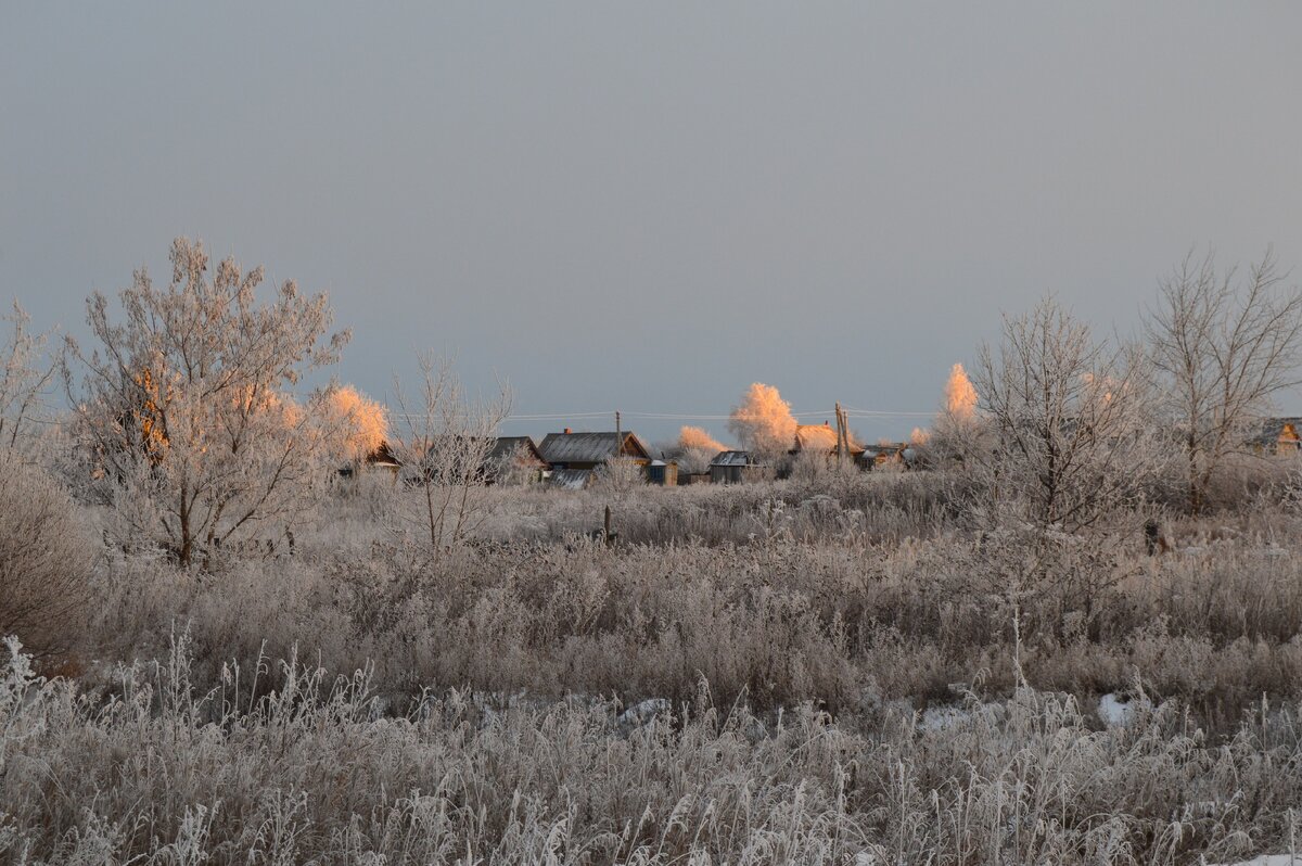 Заиненный рассвет. Фото автора