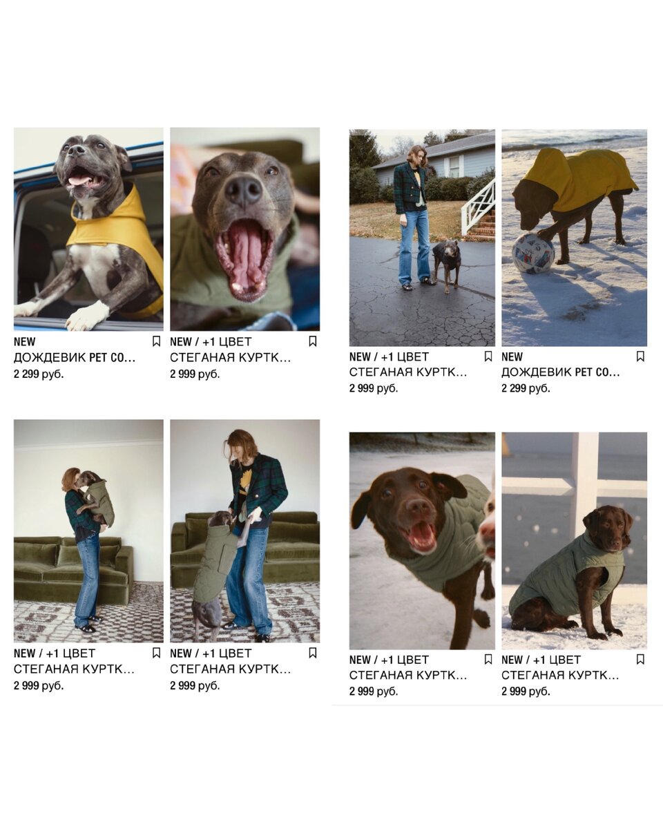 Линия для домашних животных Zara. Источник: Zara