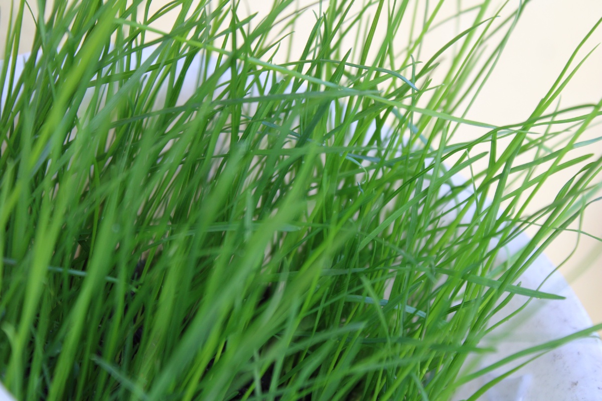 Подпишитесь, пожалуйста, на канал! Это поможет его развитию!