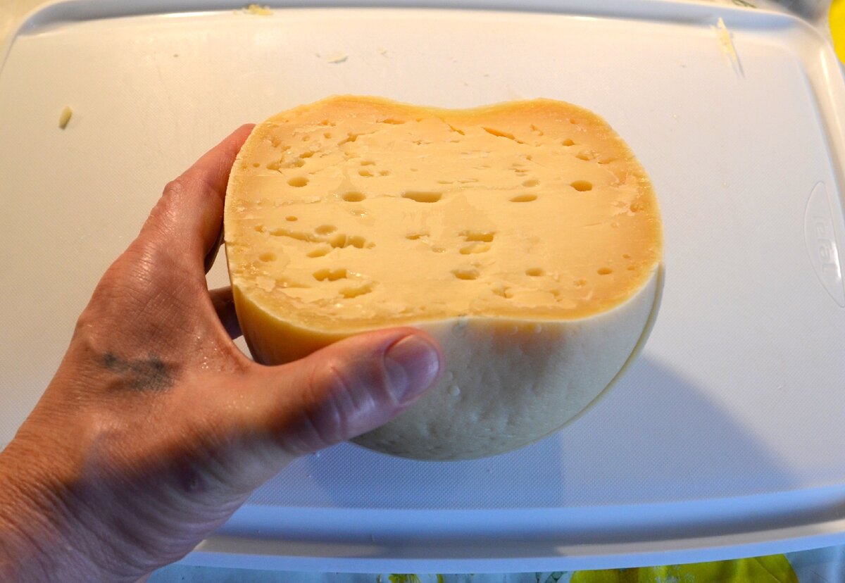 Срок годности сыра разных сортов
