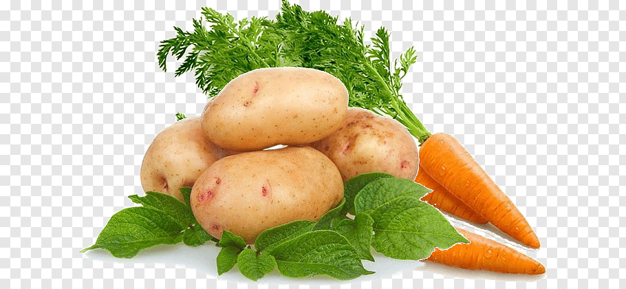 Картофель и морковь, как сажать...