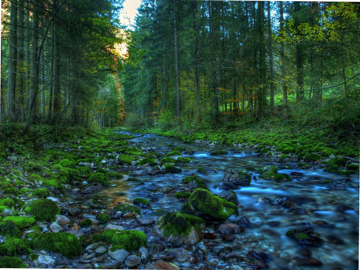 Фото взято с открытых источников.