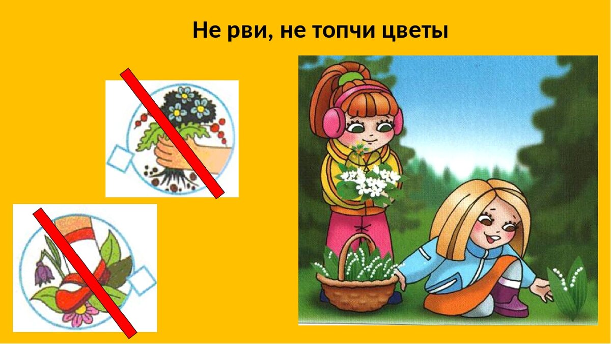 Что можно и нельзя делать 17 апреля. Нельзя рвать цветы. Не рвать растения в лесу. Природоохранные знаки. Знаки природы для детей.