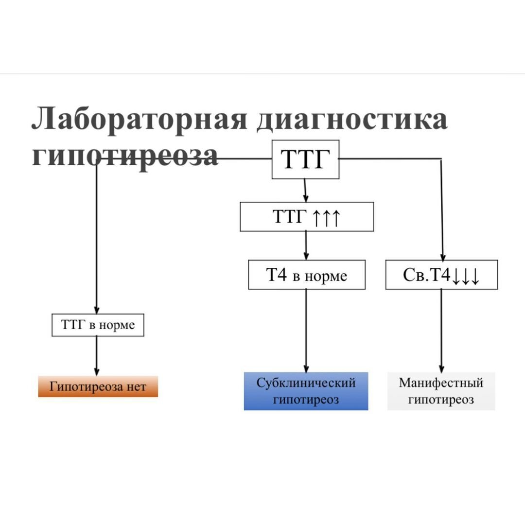 Что такое гипотиреоз. Как диагностировать | ЭНДОКРИНОЛОГ МАРИНА БЕРКОВСКАЯ  | Дзен