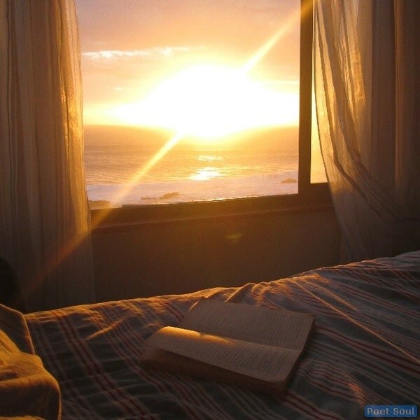 Лучами согрей, успокой... 
Автор © Анна Ли