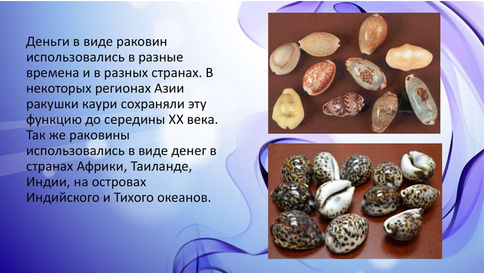 Деньги в виде раковин 