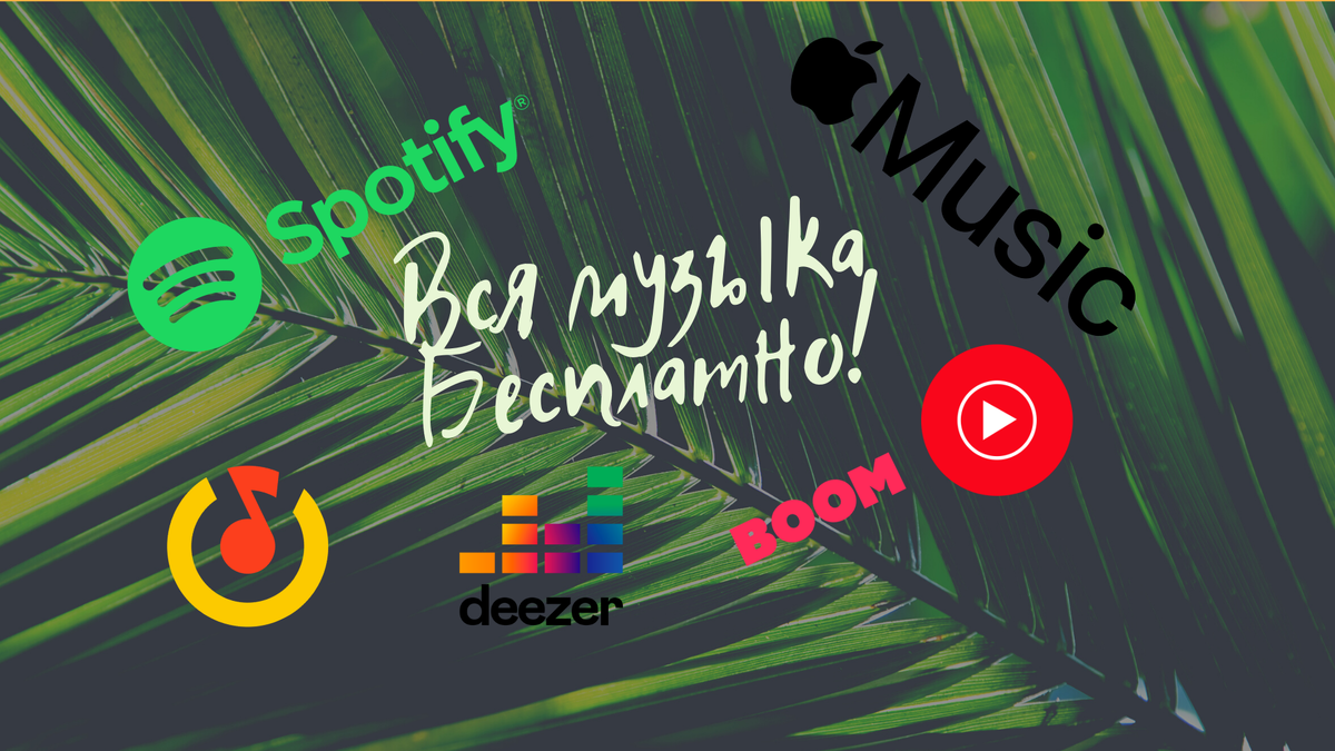 Как получить бесплатную подписку на apple music через shazam