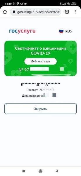 На госуслугах отображаются первые буквы ФИО и последние цифры паспорта.
Фото: Чита.Ру