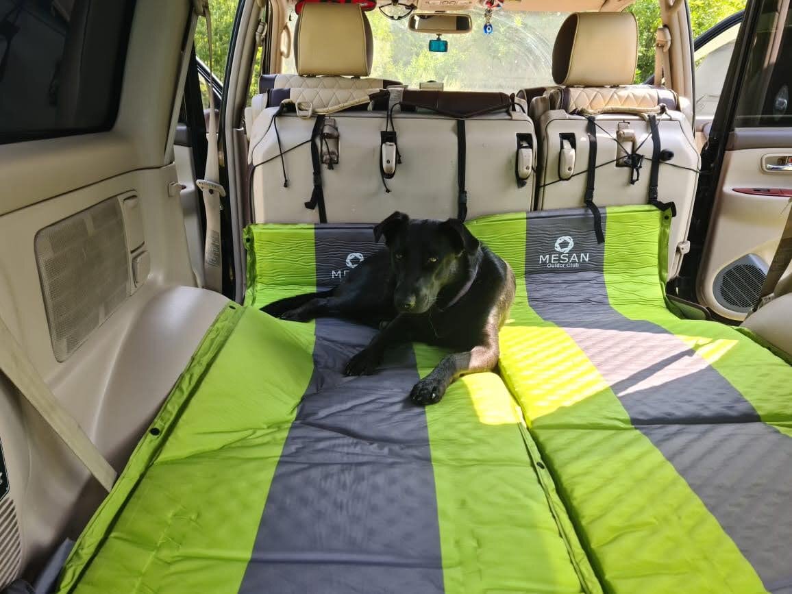 Мой мини-зоопарк. Фото благоверного отсутствует. Рада