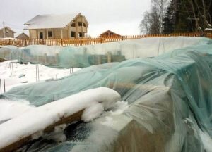 Уход за бетоном зимой