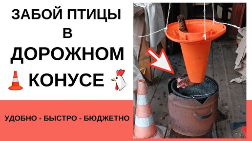 Конусы для убоя птицы