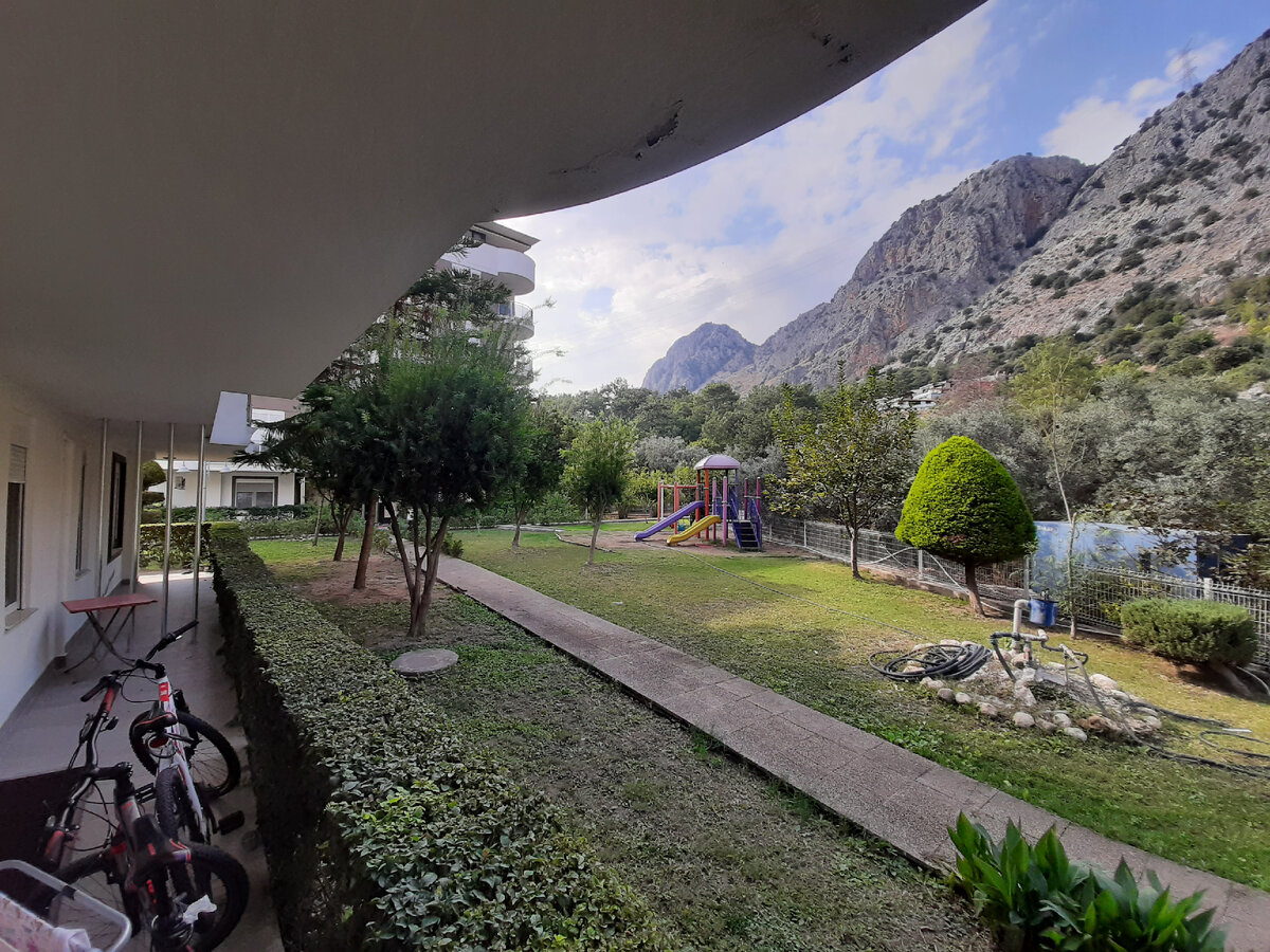 Вот такой у нас сейчас вид с веранды