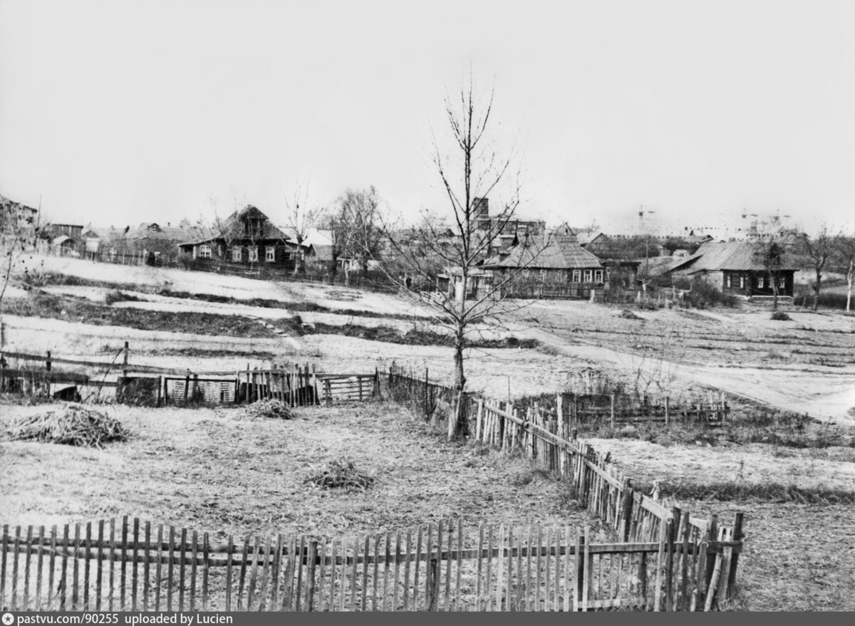 Западное Дегунино 1960 год