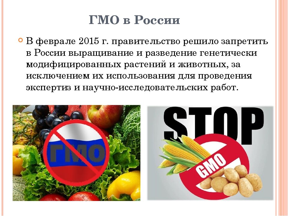 ГМО продукты. Генномодифицированные продукты. Генетически модифицированные продукты. ГМО В продуктах питания.