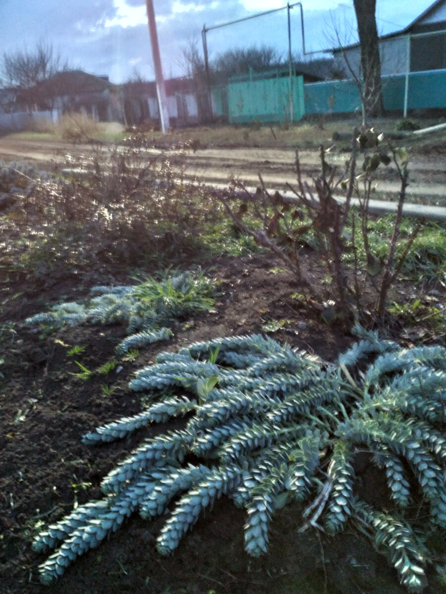 прополка под уличным освещением....