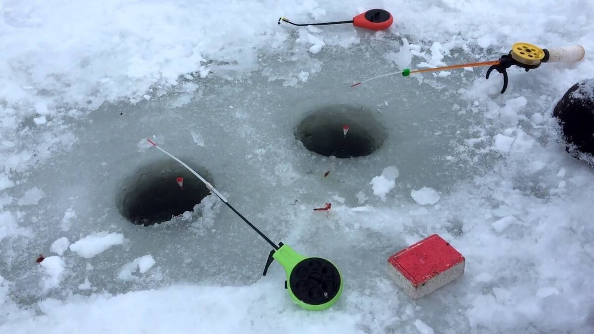 Фото с сайта: https://rybalka2.ru