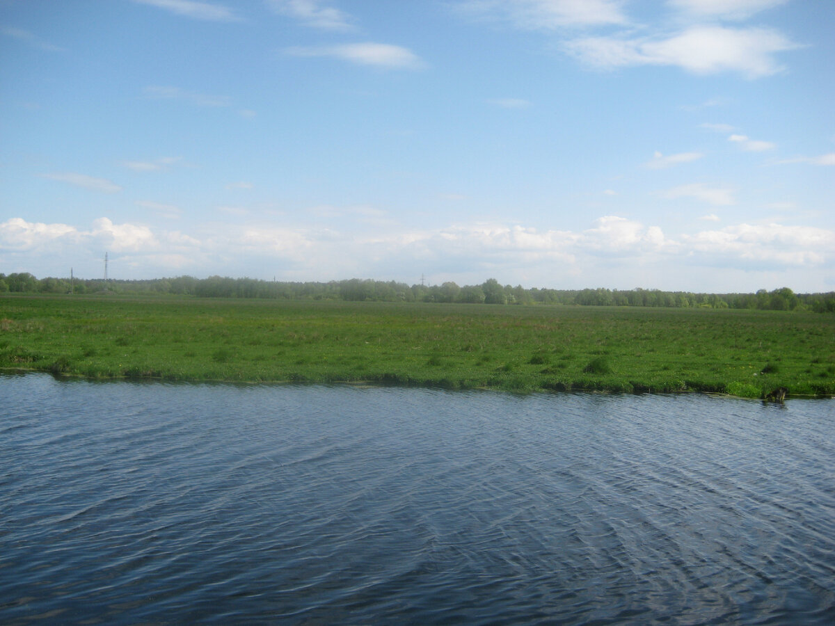 Весенняя полноводная канава и луг за ней