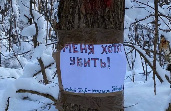 Акция в Петровском лесу рядом с мусорным полигоном КПО "Нева". Источник: "Экооборона"