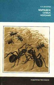 Никогда не беритесь за то, с чем не знакомы. Перед тем, как завести себе муравьев, почитайте научную литературу по этому вопросу, ознакомьтесь с их образом жизни, привычками и повадками в теории, чтобы не появлялось потом глупых вопросов типа «А если я возьму по 10 муравейчиков из каждой семьи и смешаю, будет большая семья?». Поверьте, были и такие инциденты. Можно не знать систематики, это приходит со временем, но понимать, кто такие Formicidae и в чем специфика этого семейства надо четко.Длусский Г.М., Букин А.П. Знакомьтесь: муравьи! – М.: Агропромиздат, 1986.Захаров А. А. МУРАВЕЙ, СЕМЬЯ, КОЛОНИЯ. М.: Наука. 1978.
