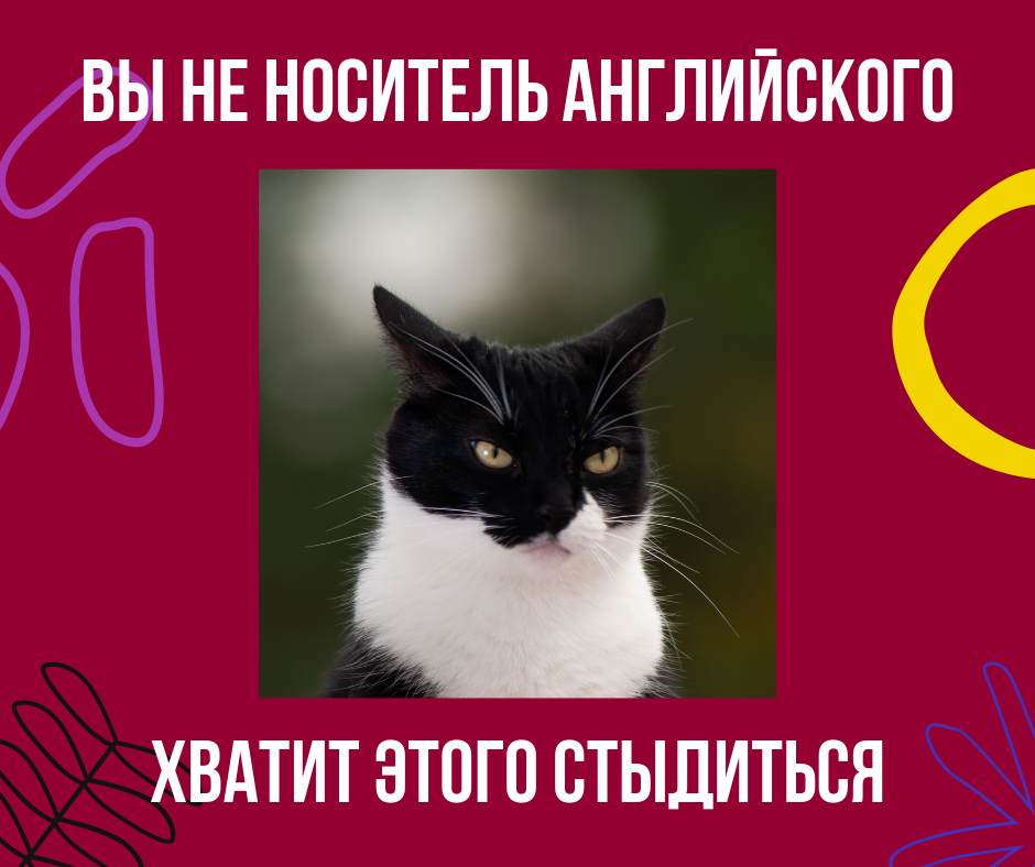 Коты не стыдятся своего "кошачьего английского"!