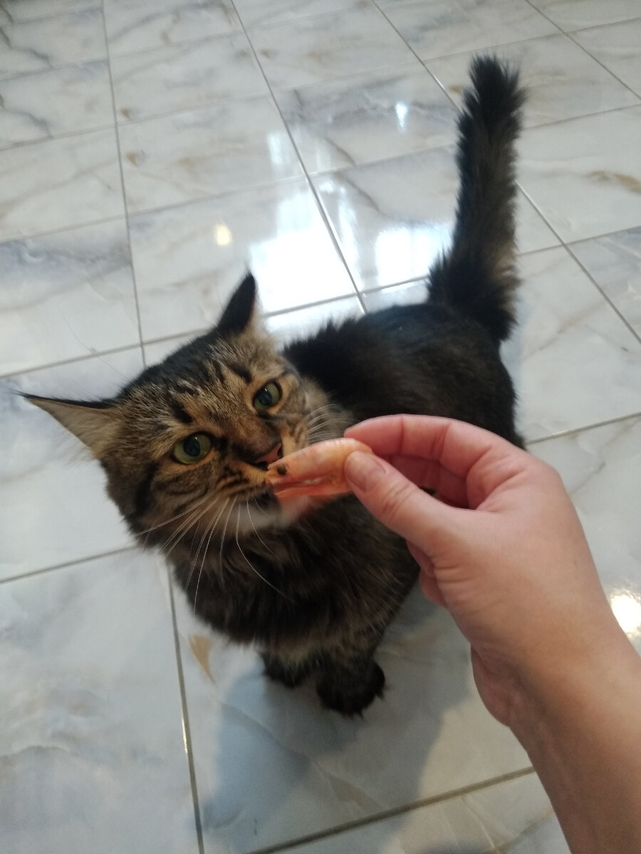 Лучше бы куриные потроха так ела, все подешевле 😂