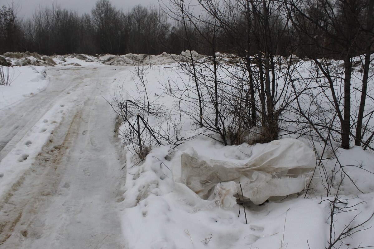 Поле зимой. Зимой в лесу и на пустыре. Зимой в лесу и на пустыре. Зимой в лесу и на пустыре. Луг зимой.