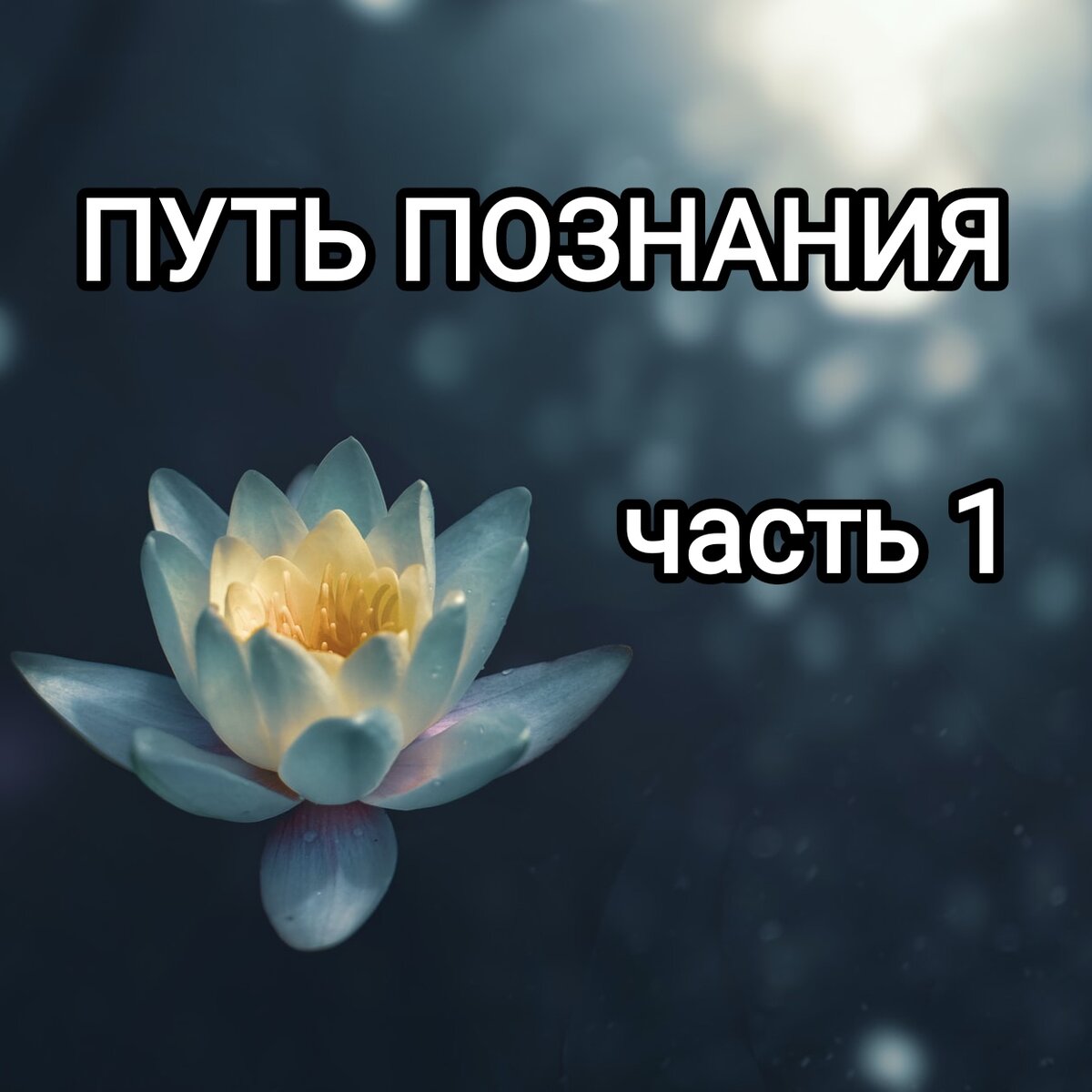 Можно ли кончать во время месячных: как определить “безопасные” дни