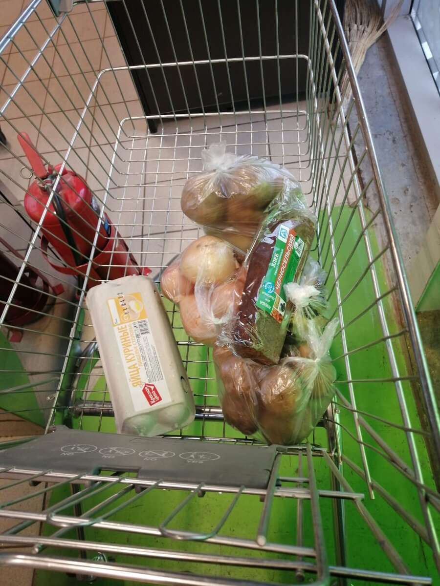 Вот и вся наша покупка