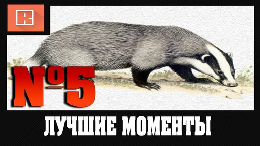 ЛУЧШИЕ МОМЕНТЫ ИЗ СТРИМОВ 5